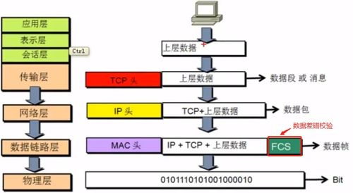 OSI與TCP/IP模型詳解 計算機網絡技術的核心架構