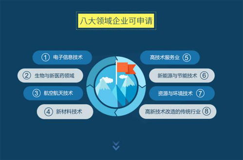 高新技術(shù)企業(yè)申請指南 漳州地區(qū)費用解析與世豐企業(yè)管理咨詢服務(wù)介紹
